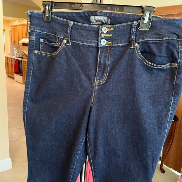 torrid Denim - Torrid jeggings